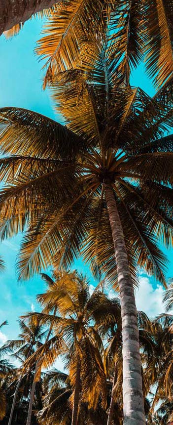 caribische-vakantie-zon-strand