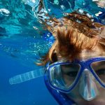 snorkelen tijdens excursie op curacao